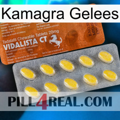 Kamagra Jellies 42